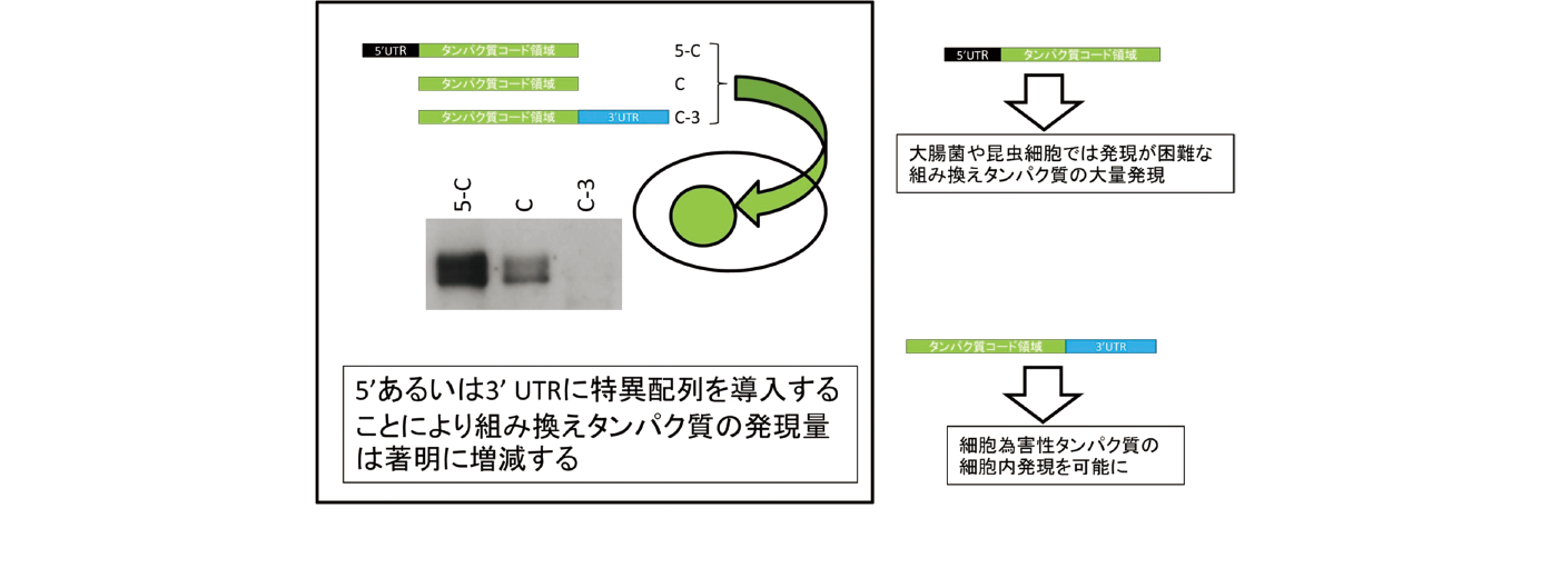 北海道大学 研究シーズ集