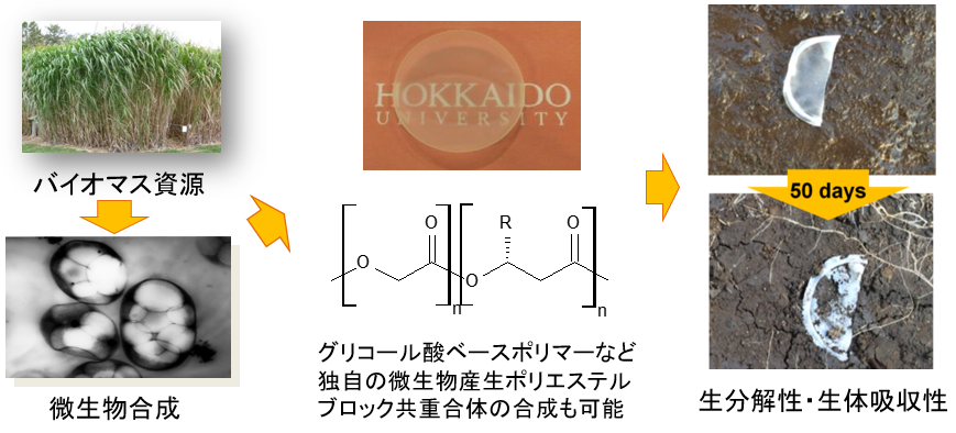 ナノテク・材料 詳細一覧 | 北海道大学 研究シーズ集 ナノテク・材料 詳細一覧 | 北海道大学 研究シーズ集
