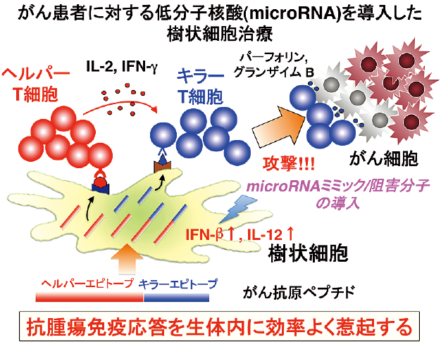 ライフサイエンス 詳細一覧 北海道大学 研究シーズ集