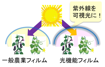 ナノテク・材料 詳細一覧 | 北海道大学 研究シーズ集