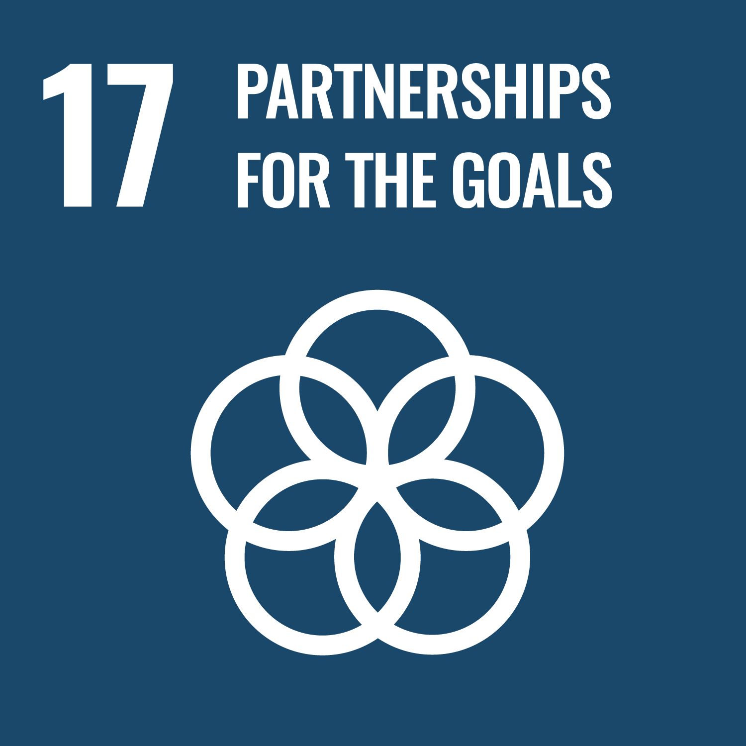 17. Partnerships to achieve the Goal